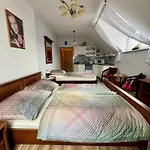 U Kaplicky Guest house 3*