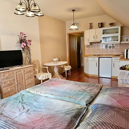 U Kaplicky 게스트하우스