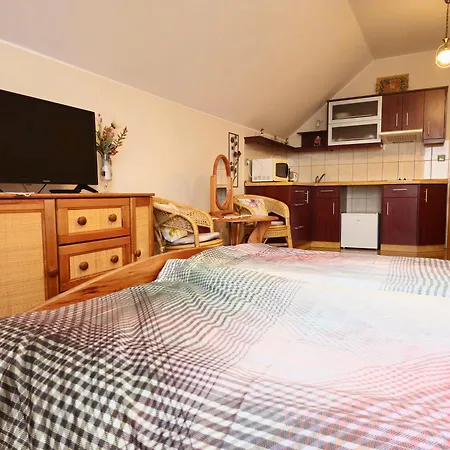 Maison d'hôtes U Kaplicky 3*