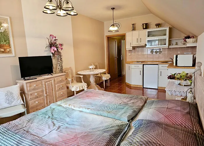 U Kaplicky 게스트하우스