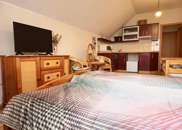 게스트하우스 U Kaplicky 3*